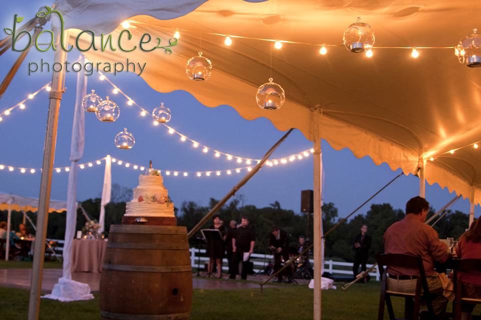 Party Plus Tents + Events