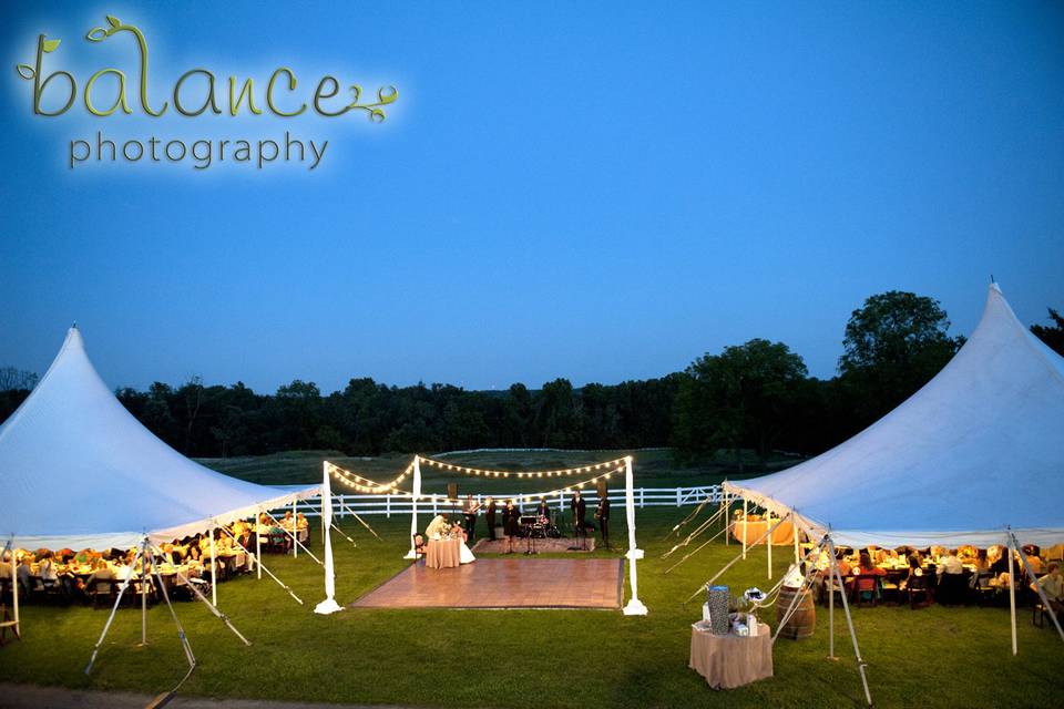 Party Plus Tents + Events