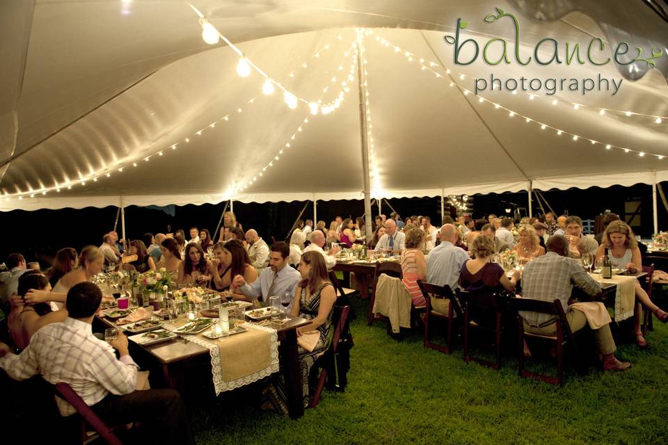 Party Plus Tents + Events