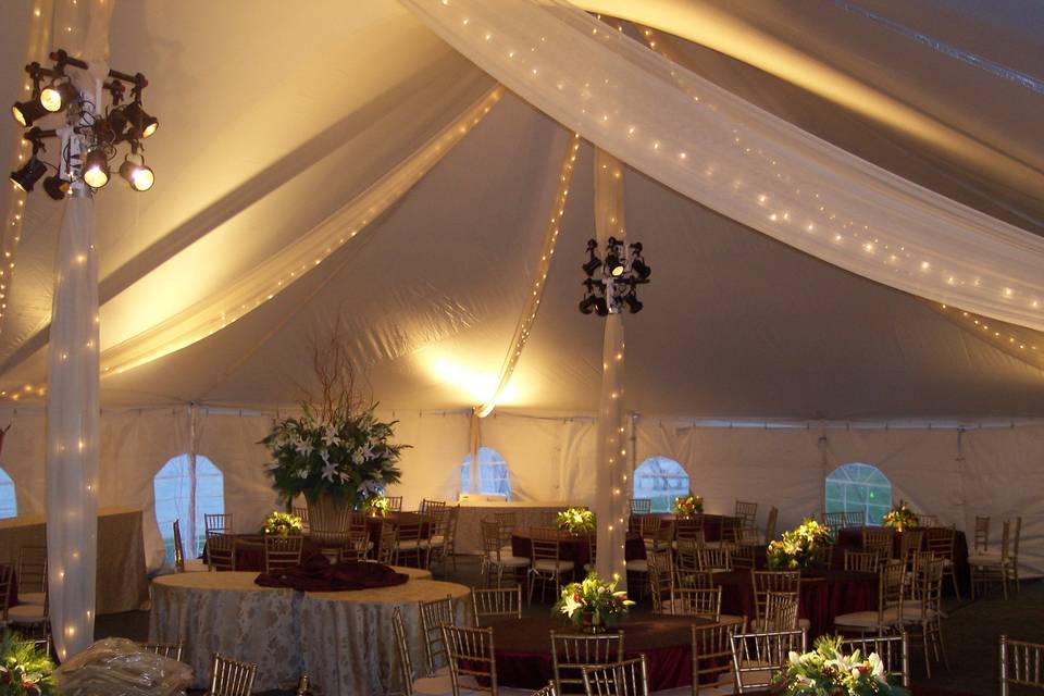 Party Plus Tents + Events