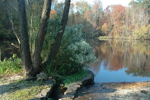 Fall lake colors