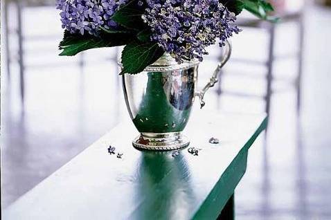 Hydrangas in silver vase