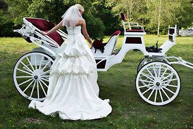 Carriage for bride's portrait