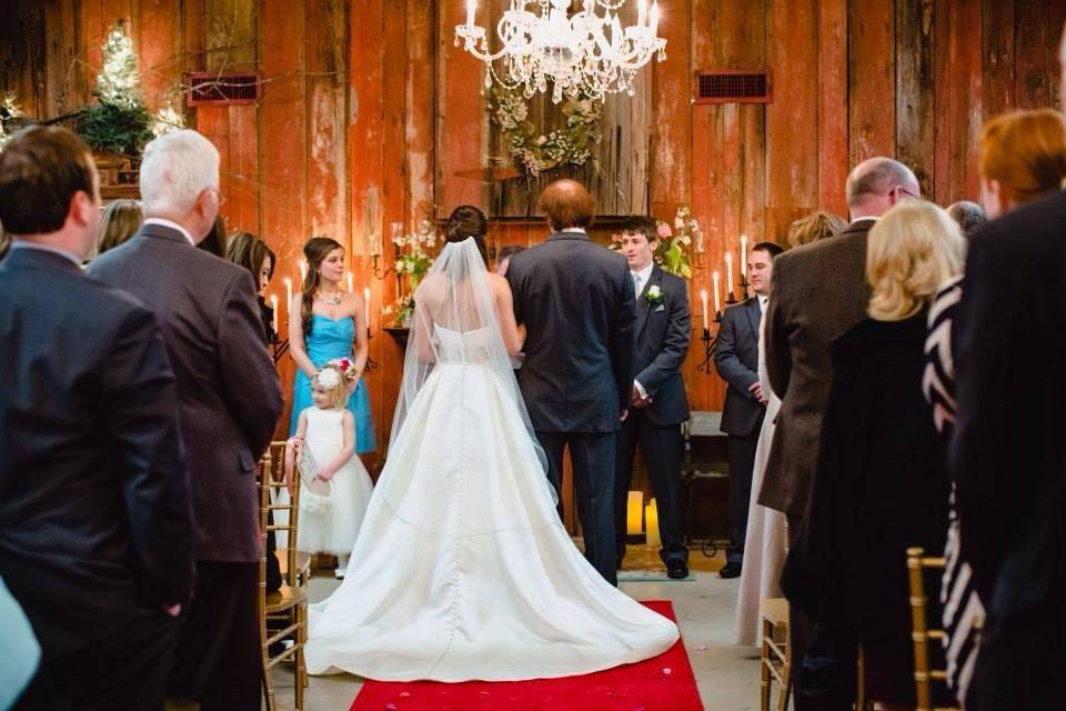 Horse carriage for the newlyweds