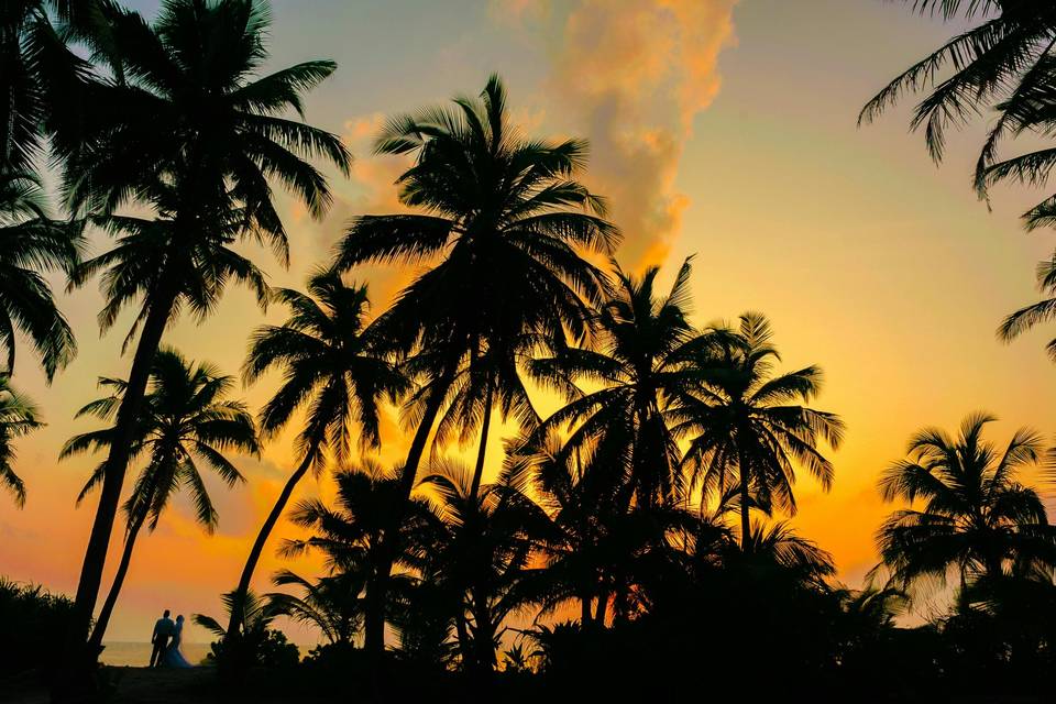 MEP Vacations