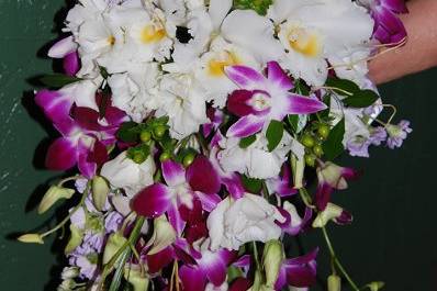 Blossom Shoppe Florist & Gifts