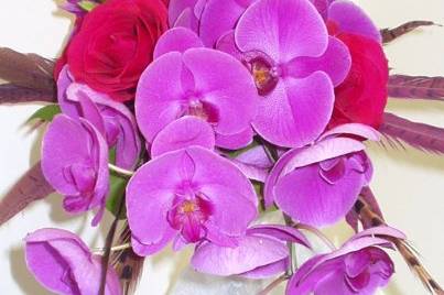 Colorful exotic bouquet with pheasant feathers, orchids and hot pink roses