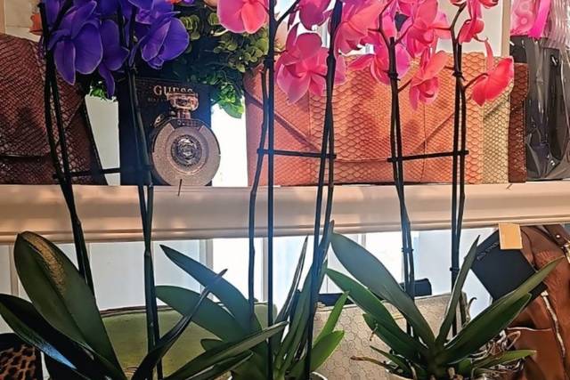 Flower Girls Boutique
