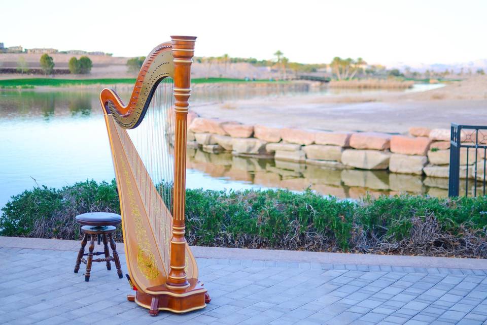 Harp at the lake