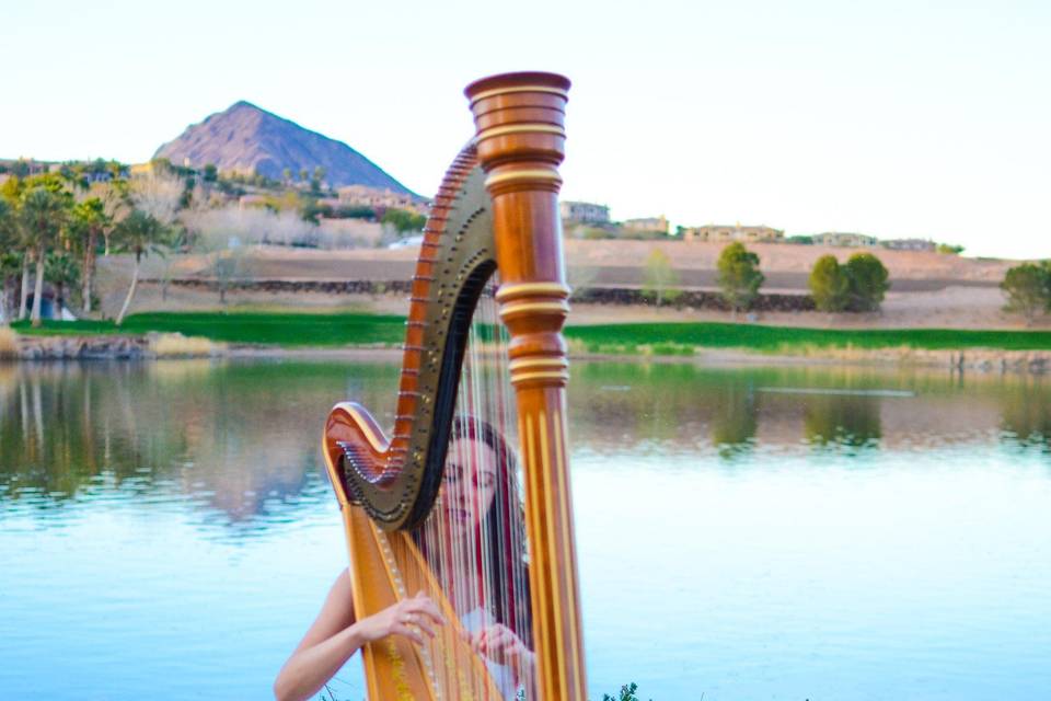 Relaxing harp music lakeside