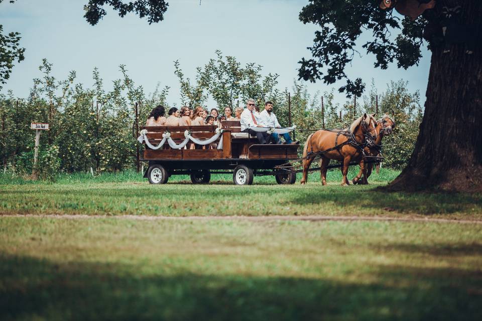 Horse-drawn ride