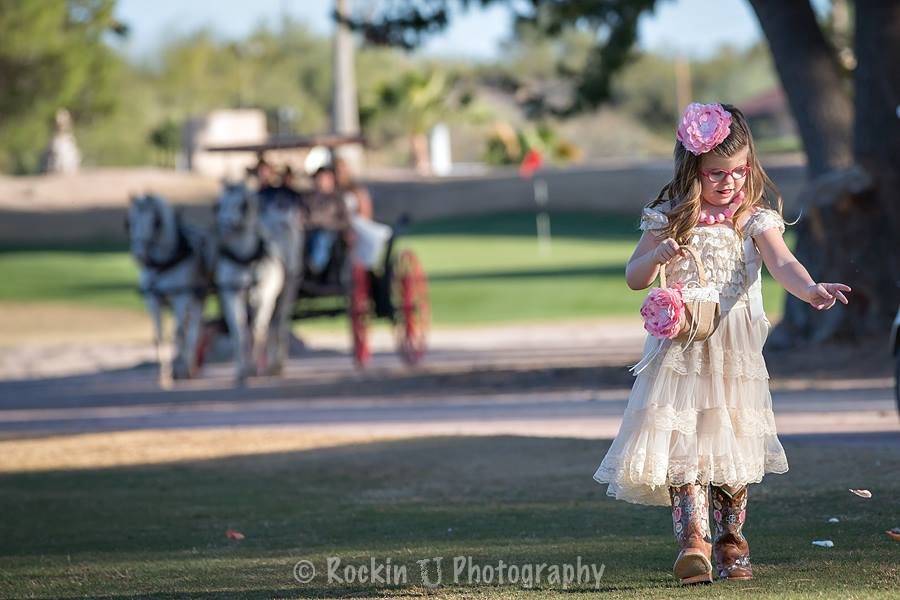 Wickenburg Horse Carriages