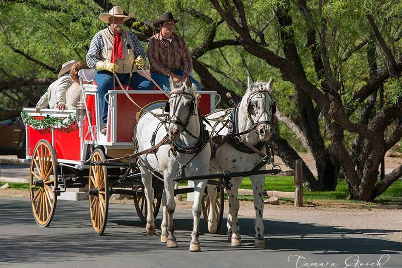 Lazy D Rockin' P Ranch Wagons & Teams