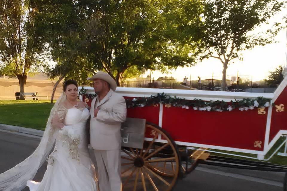 Wickenburg Horse Carriages