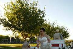 Wickenburg Horse Carriages