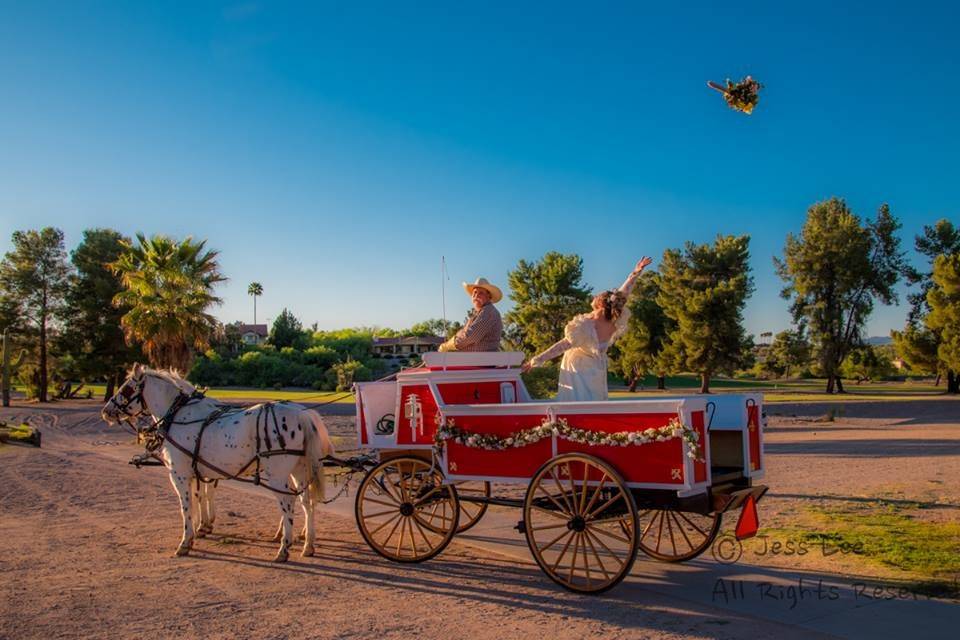 Wickenburg Horse Carriages