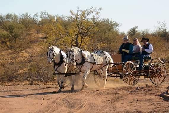 Desert Transportation Wedding