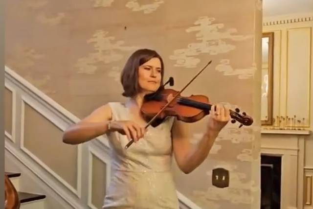 Venue Violin
