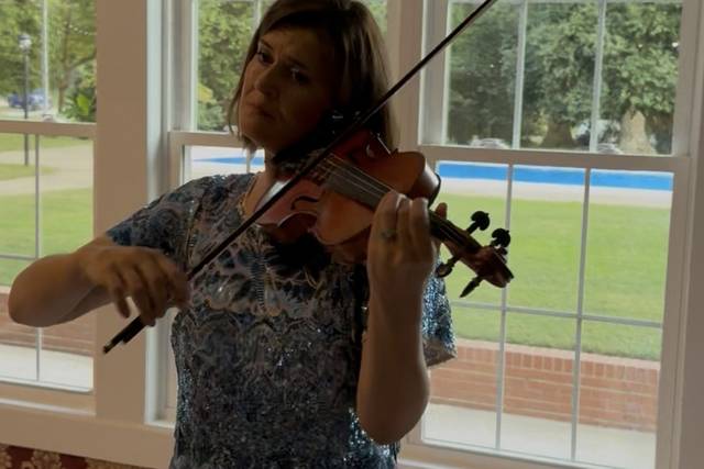 Violin