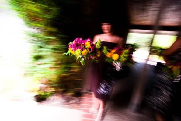 Ebner Photo