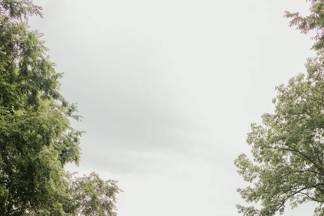Bride and Groom with Skyline