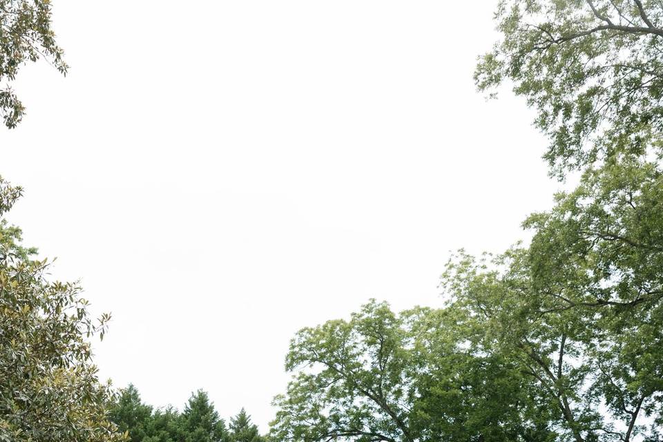 Bride and groom in garden