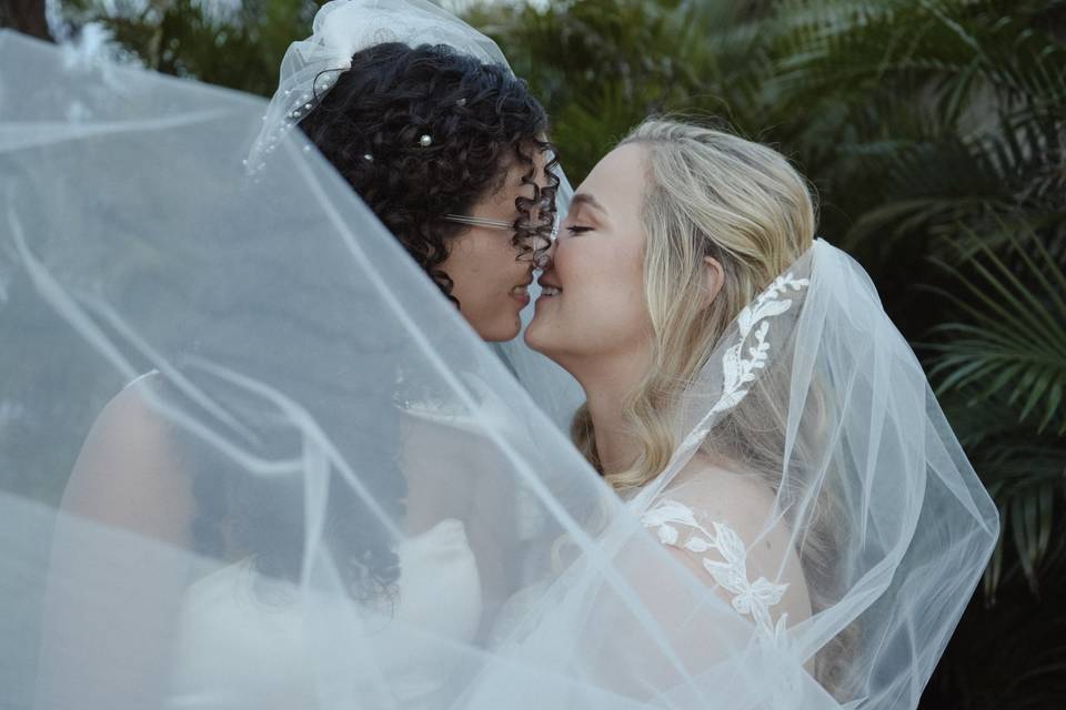 Brides with veil