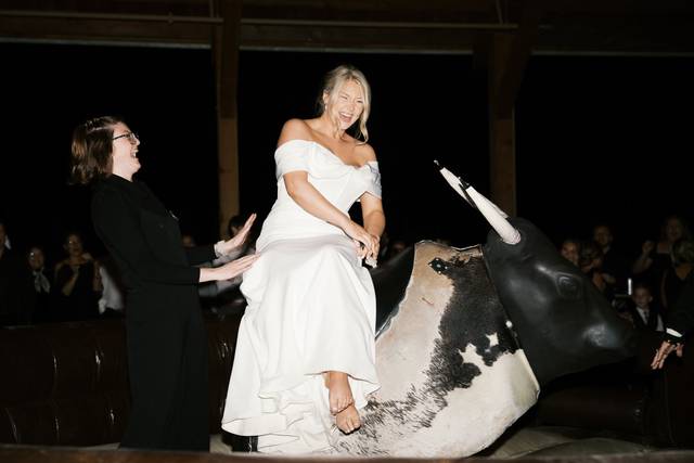 Mechanical Bull Fun