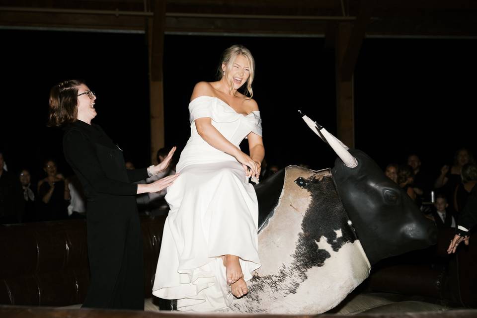 Mechanical Bull Fun