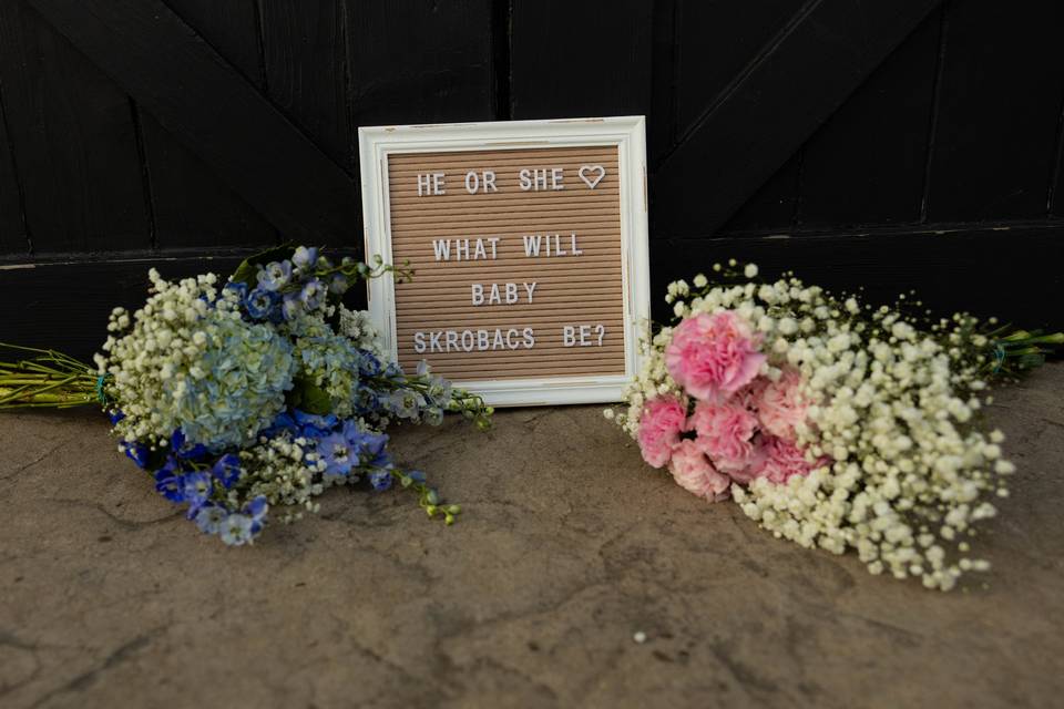 NICOLE SAKOSKY PHOTO