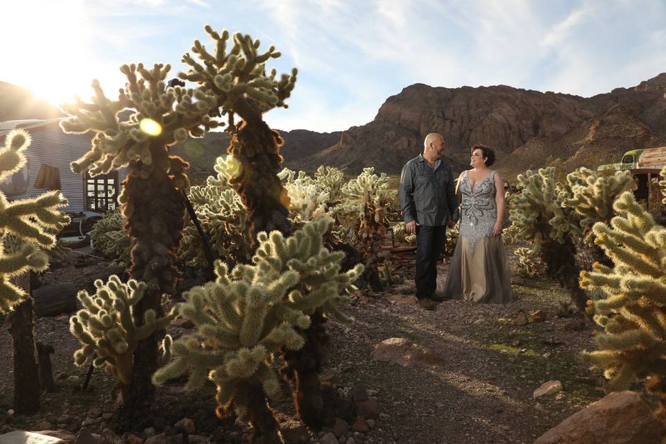 Scenic Las Vegas Weddings and Photography