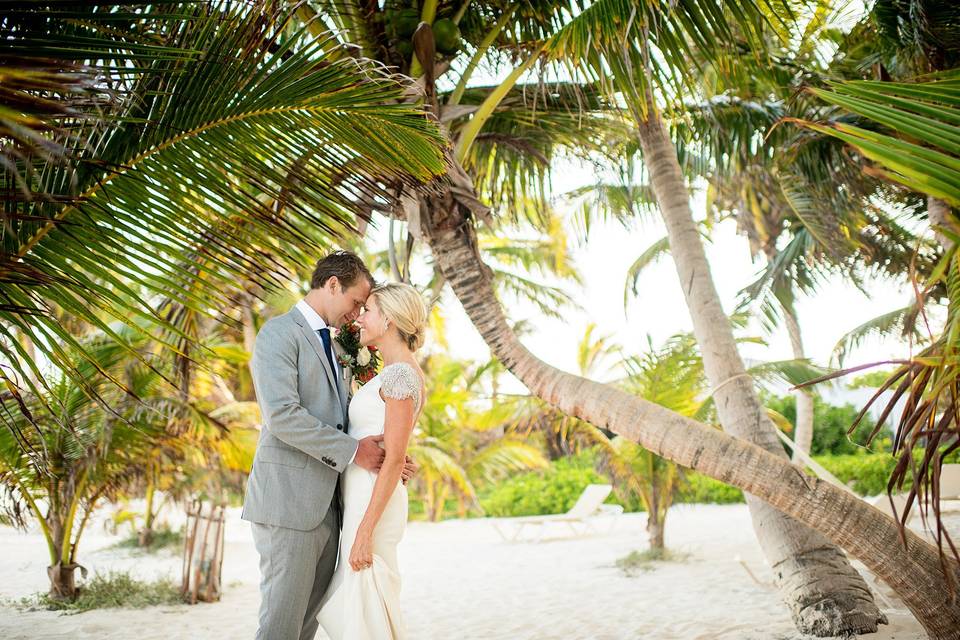 Cynthia Rose Photography
