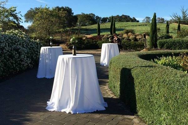 Outdoor table setup