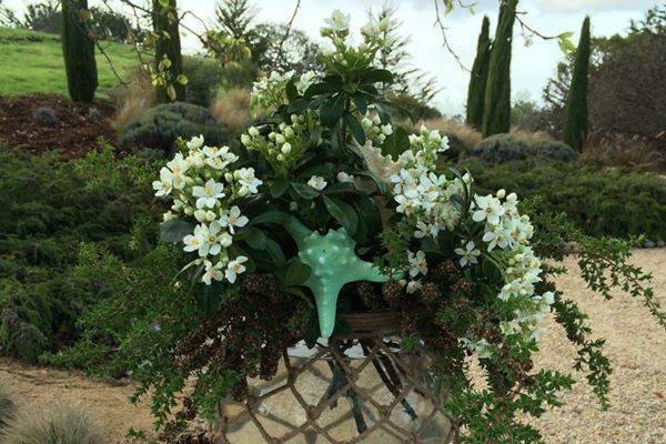 Table setup with flower centerpiece