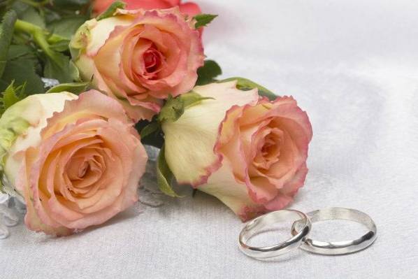 Love on a Shoe String - Peggy Kilkenny Hecksher Wedding Coordinator