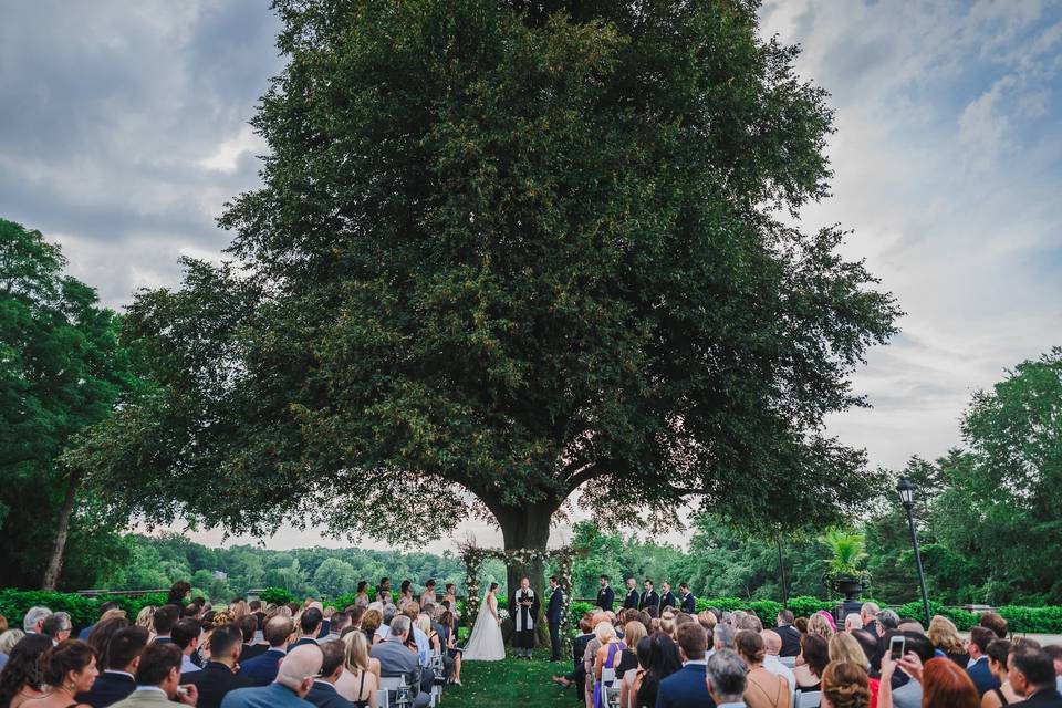 Wedding ceremony under the Linden Tree