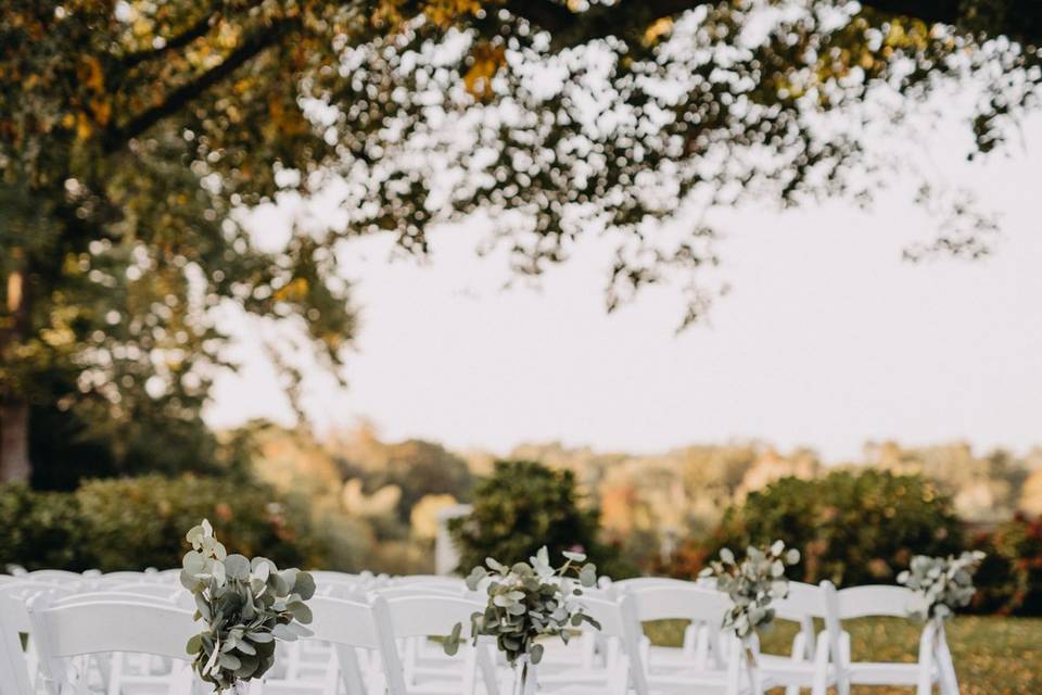 Ceremony under linden tree