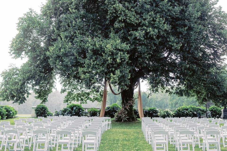 Linden Tree Ceremony