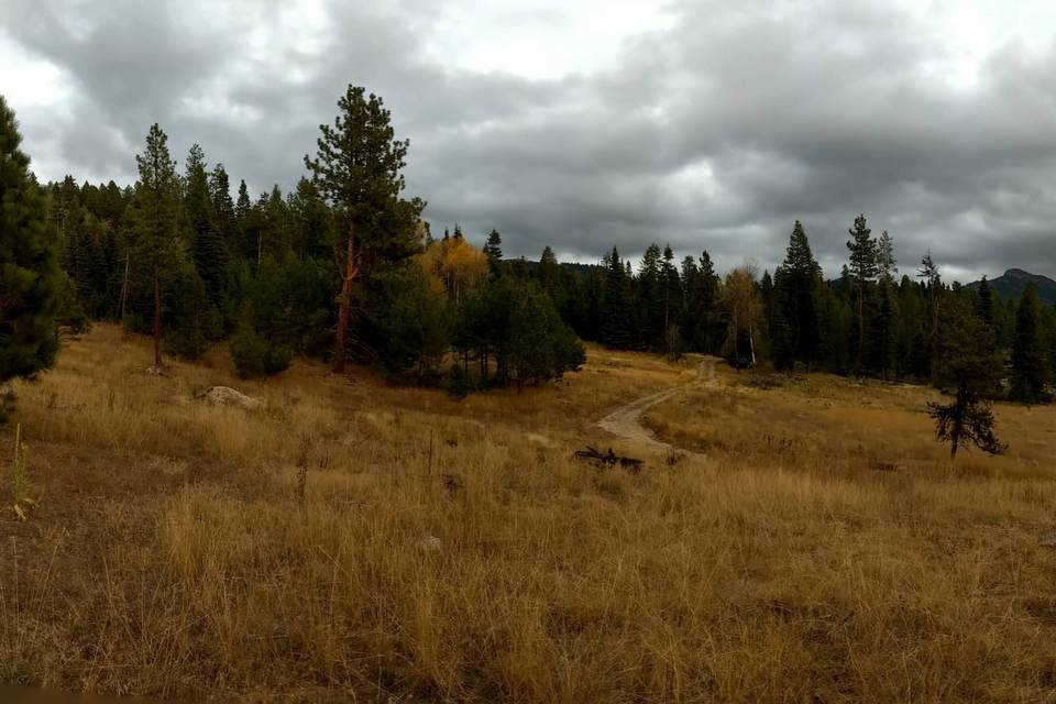 Ceremony site