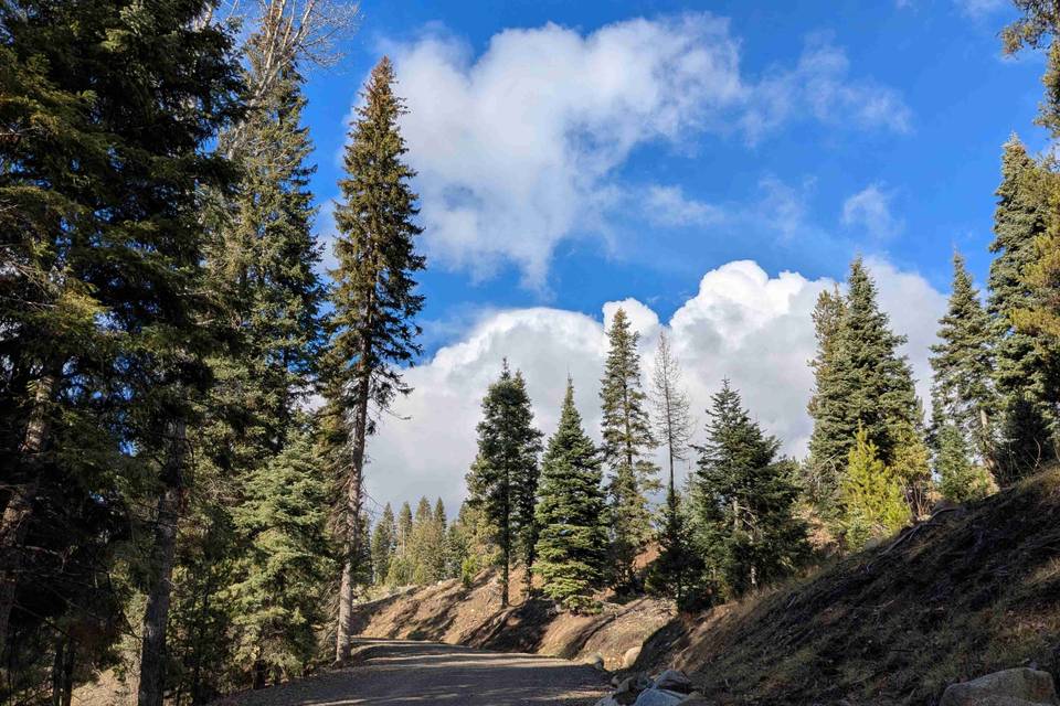 Driveway