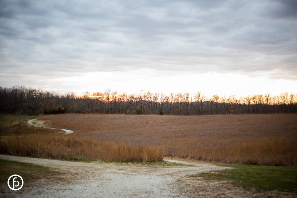 Fields of nature