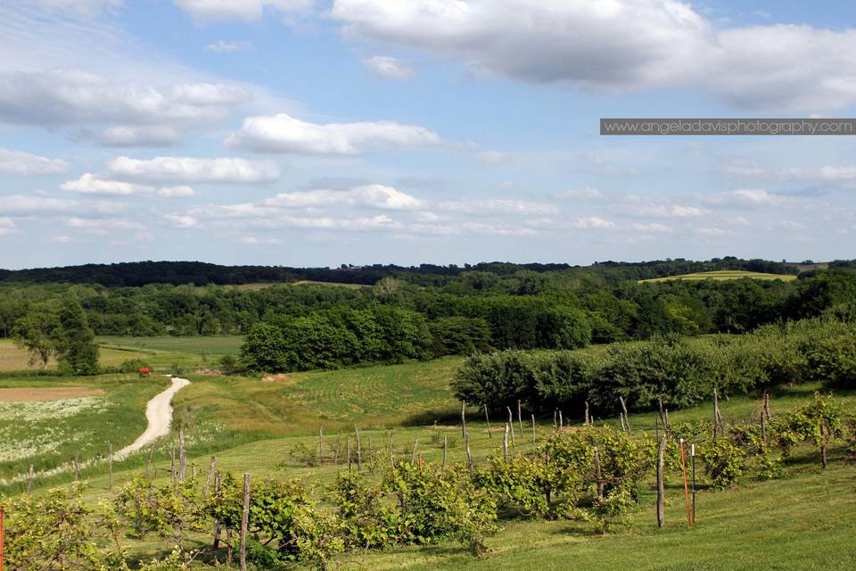 Weston Red Barn Farm