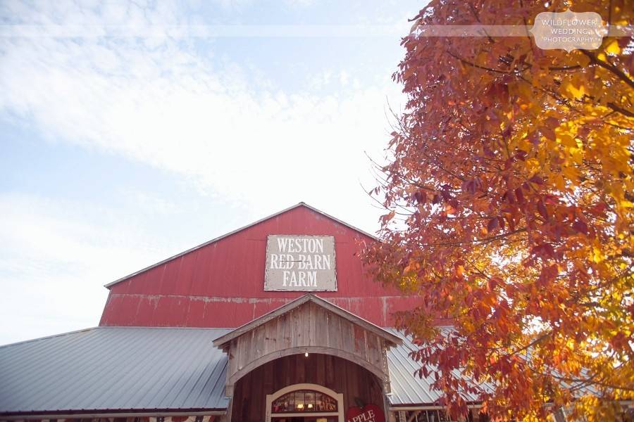 Weston Red Barn Farm