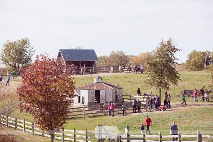 Weston Red Barn Farm