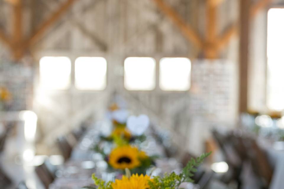 Weston Red Barn Farm