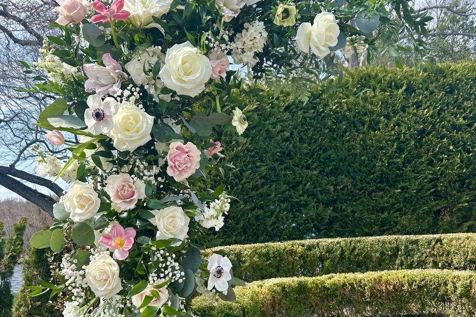 Spring blooms