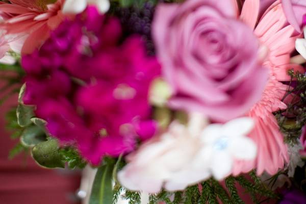 Pink and violet blooms