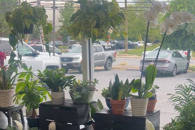 Annapolis Flowers and Events