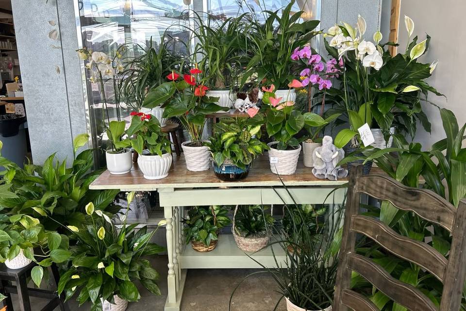 Annapolis Flowers and Events