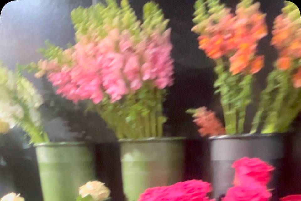 Annapolis Flowers and Events